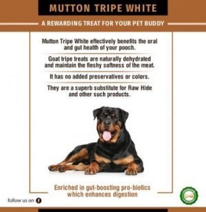 is tripe good for your dog