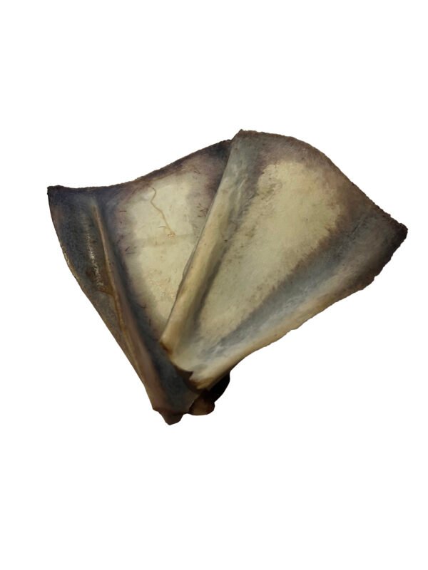 Dehydrated Shoulder Blades of Goat offer an ideal natural treat for your dogs and Cats